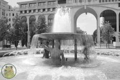 IMG-5068
