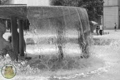 IMG-5069