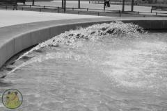 IMG-5071