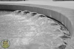 IMG-5073