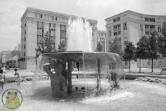 IMG-5074