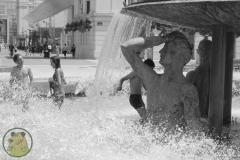 IMG-5078