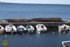 IMG_5987