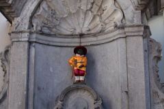IMG-4022