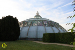 IMG-3836