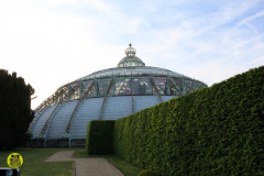IMG-3837