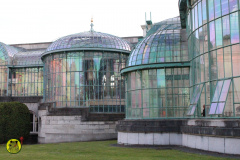 IMG-3839