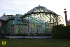 IMG-3840