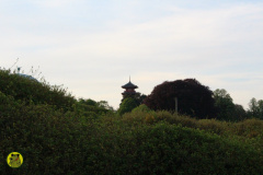 IMG-3848