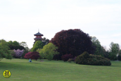 IMG-3855