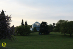 IMG-3856