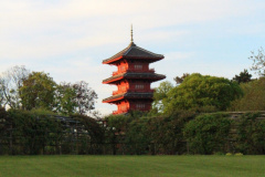 IMG-3866
