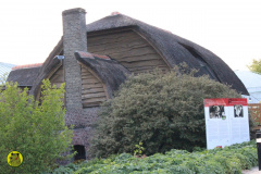 IMG-3867