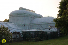 IMG-3873