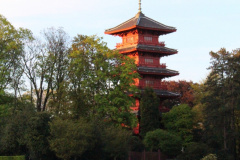 IMG-3877