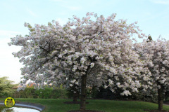 IMG-3878