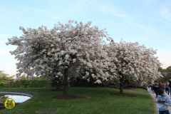IMG-3879