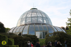 IMG-3880