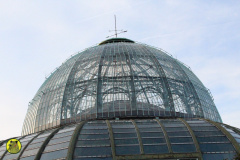 IMG-3881