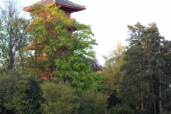 IMG-3882