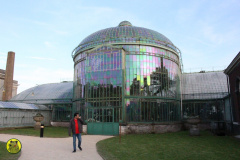 IMG-3887