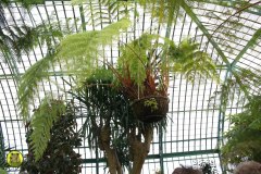 IMG-3894