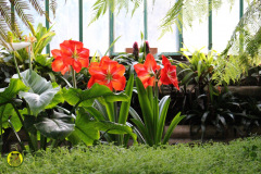 IMG-3896