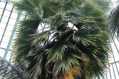 IMG-3899