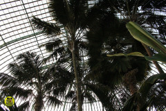 IMG-3900