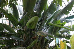 IMG-3903