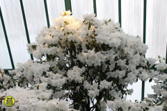 IMG-3912