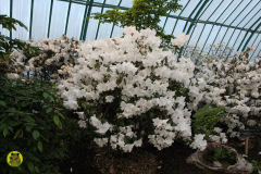 IMG-3919