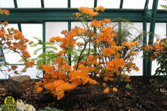 IMG-3924