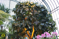 IMG-3929