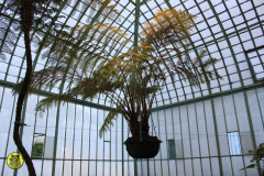 IMG-3931