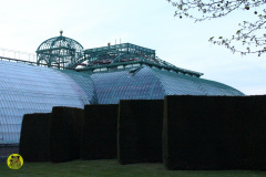 IMG-3940
