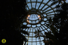 IMG-3948
