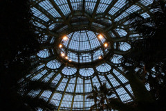IMG-3950