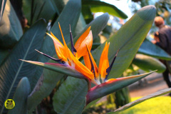 IMG-3955