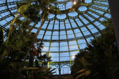 IMG-3960
