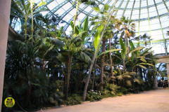 IMG-3962