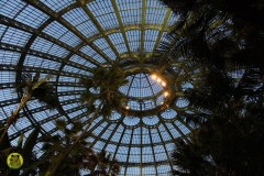 IMG-3963