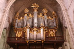 IMG_7181