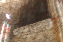 IMG_8874