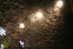 IMG_8876