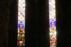 IMG_8886