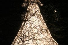 IMG_8891