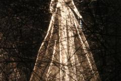 IMG_8903