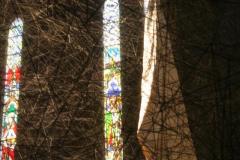 IMG_8907