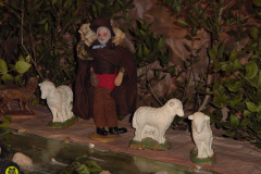 DSC00007